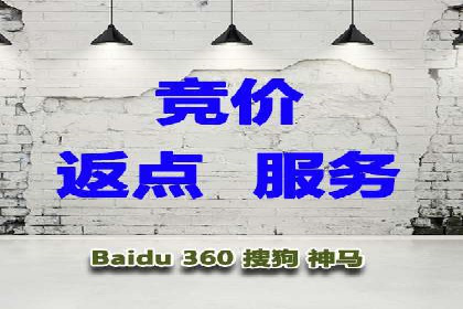 关键词竞价排名实战案例精选解析